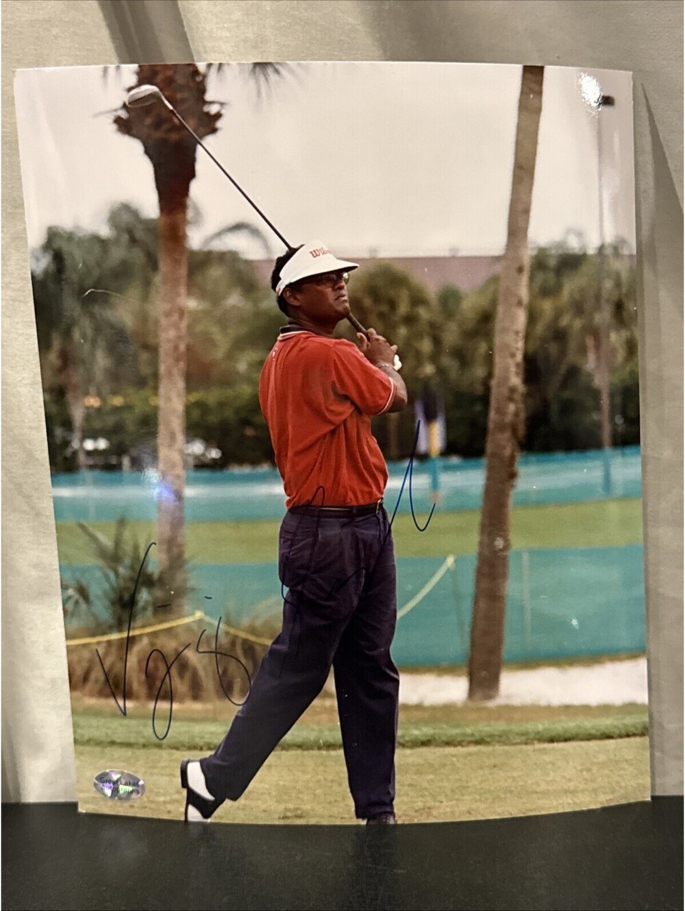 VJ Singh Autographed/Signed 8x10 Color Picture w/COA